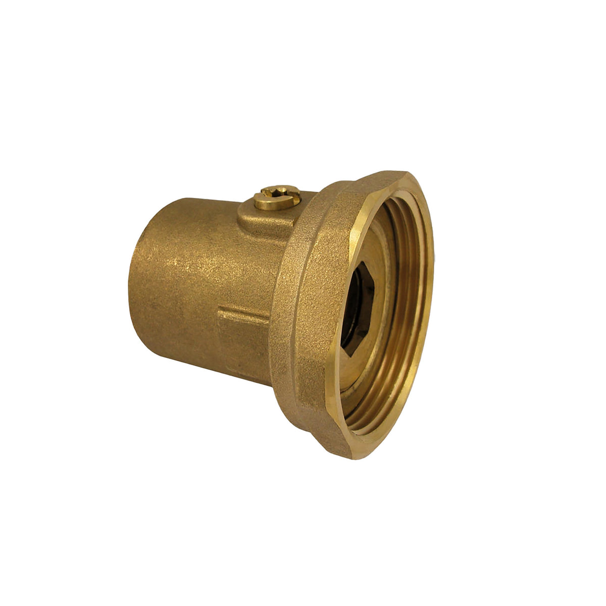 Isolating Pump Valve